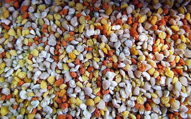 花粉的正确食用方法，绝对不能过量食用，还要注意禁忌人群！&amp;lt;/h1&amp;gt;&amp;lt;/div&amp;gt;
&amp;lt;div