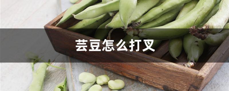芸豆怎么打叉