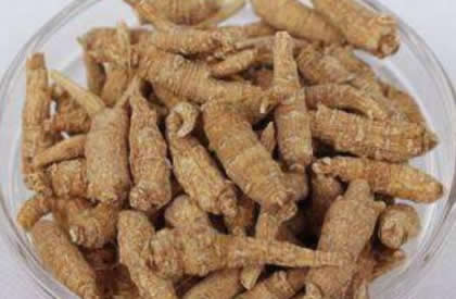 花旗参能天天泡水喝吗？花旗参的禁忌人群