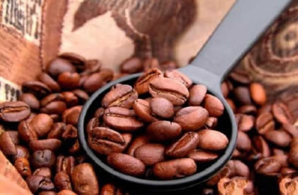 哪里产的咖啡豆最好？