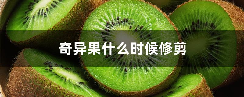 奇异果什么时候修剪