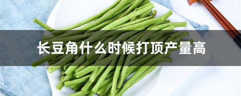 长豆角什么时候打顶产量高