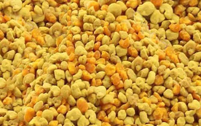 油菜花粉是什么