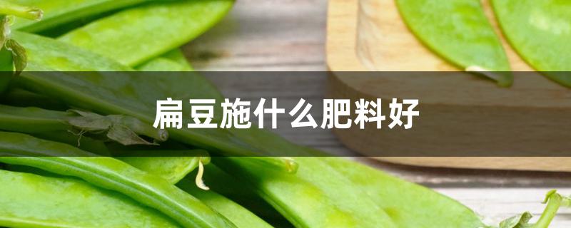 扁豆施什么肥料好