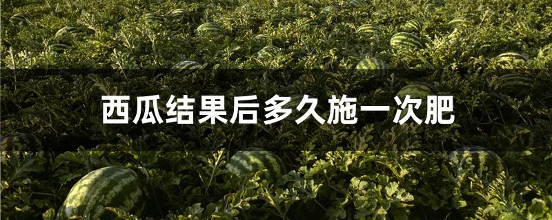 西瓜结果后多久施一次肥
