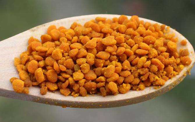 茶花粉是怎么产生的