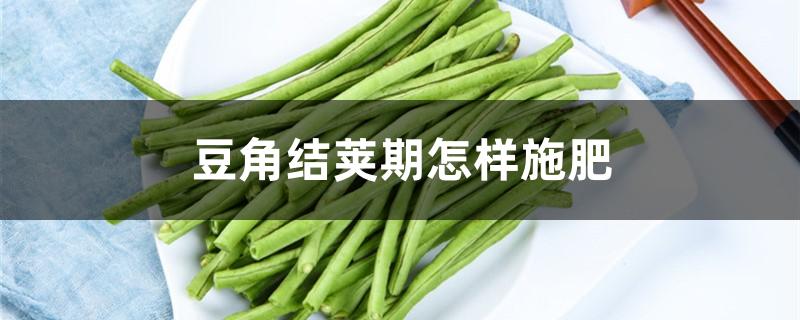 豆角结荚期怎样施肥