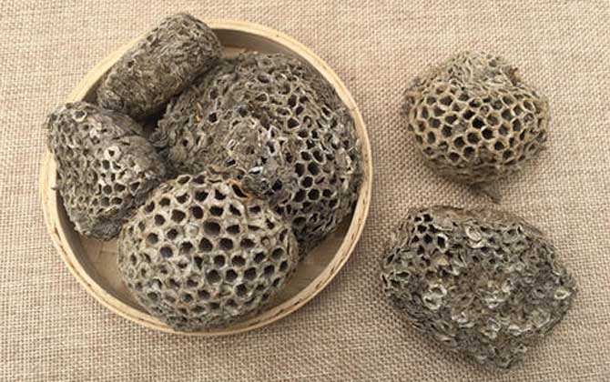 蜂房怎样吃不会中毒