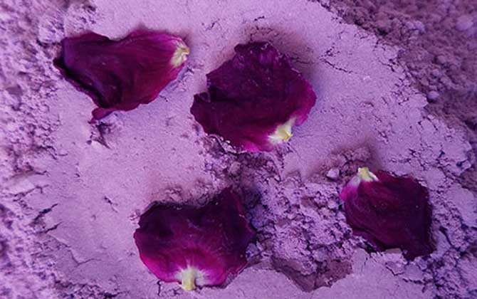 玫瑰花粉怎么做面膜可以祛斑