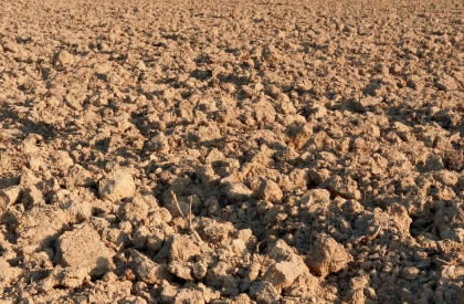 酸化土壤怎么改良？专家给出五条建议