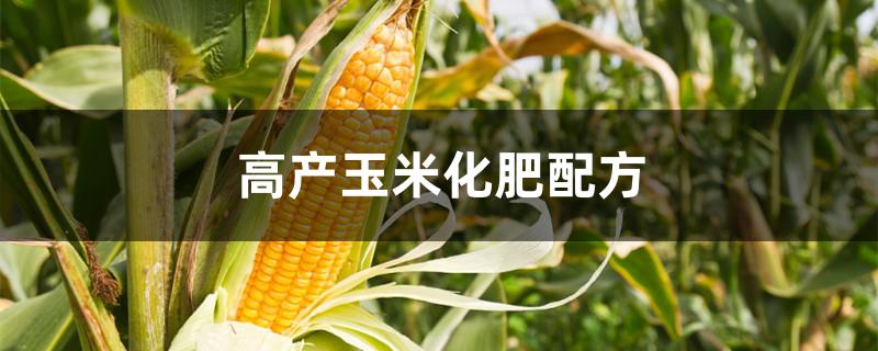 高产玉米化肥配方