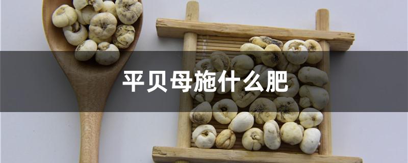 平贝母施什么肥