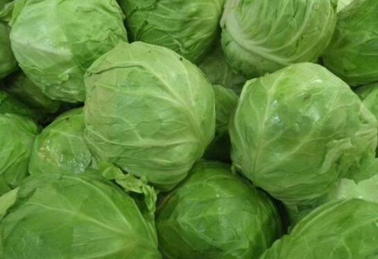 包菜的营养价值及功效