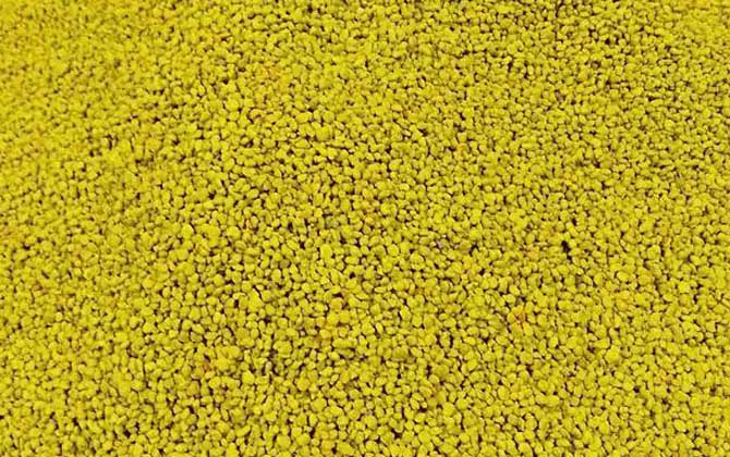 男人吃油菜花粉的功效有哪些