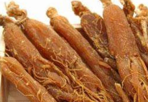 东洋红参的功效与作用