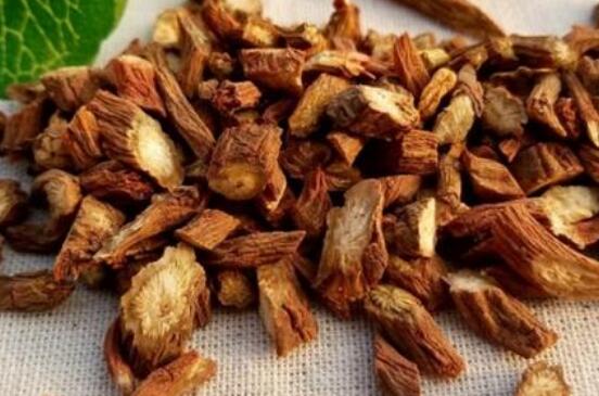 丹参的副作用及禁忌