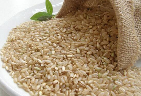 糙米什么人不能吃 糙米吃多了有什么危害