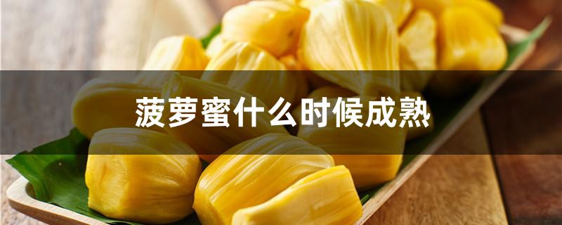 菠萝蜜什么时候成熟