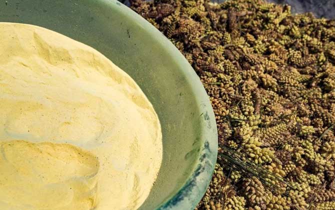 松花粉价格表及选购技巧&amp;lt;/h1&amp;gt;&amp;lt;/div&amp;gt;
&amp;lt;div class=&amp;qu