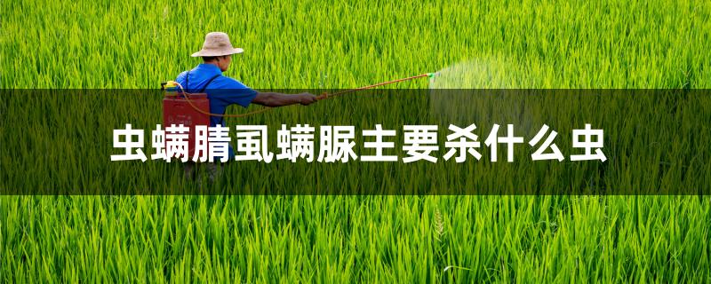 虫螨腈虱螨脲主要杀什么虫