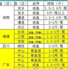 草鱼价格--农村创业网