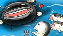 鲶鱼效应
