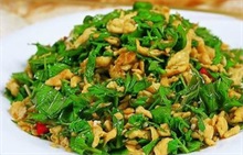 香椿炒鸡蛋