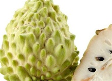 番荔枝