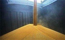 大豆进口量为何再创新高 农村创业网