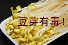 豆芽有毒