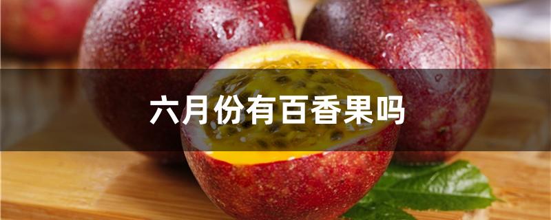 六月份有百香果吗