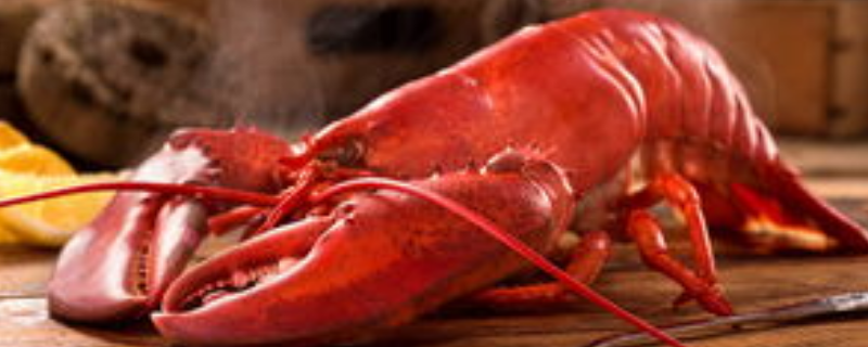 怎么杀龙虾？