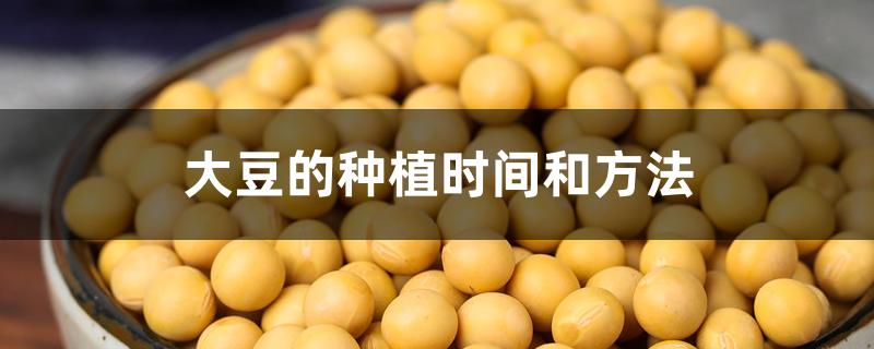 大豆的种植时间和方法