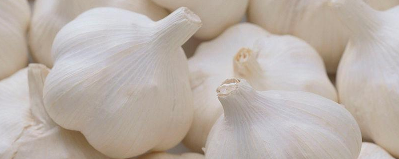 有机葱蒜类蔬菜病虫草综合防治技术？