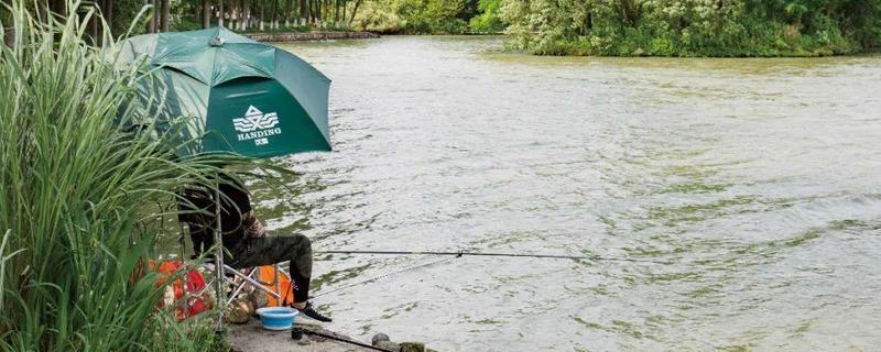 夏季野钓鲫鱼技巧及注意事项？