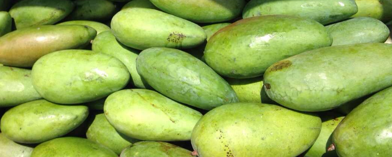 硬的青芒果可不可以直接吃？