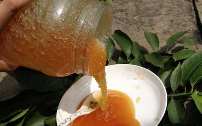 吃蜂蜜能提高男人性功能吗