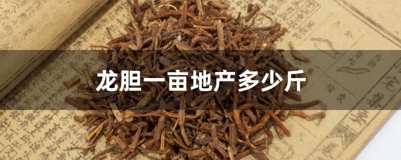龙胆一亩地产多少斤