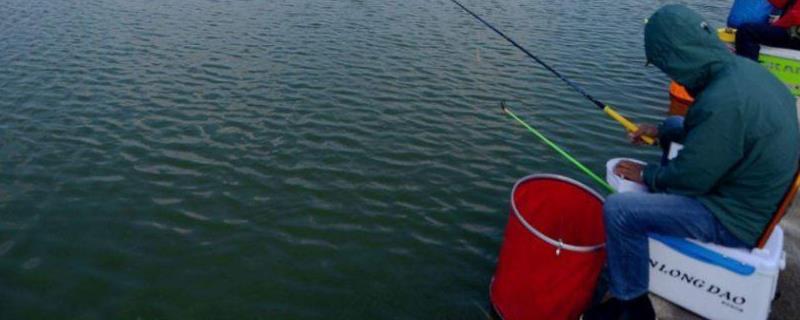 钓鲈鱼实用技巧大全？