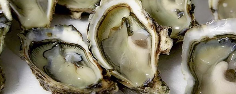开口了的牡蛎还能不能吃？