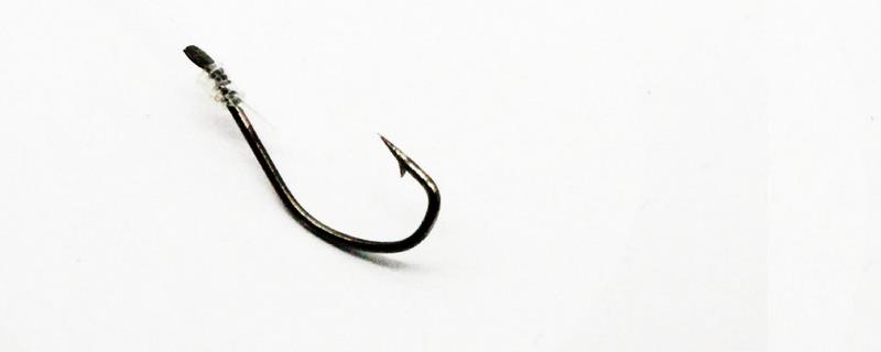 万能袖钩适合钓什么鱼？