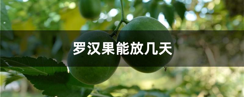 罗汉果能放几天