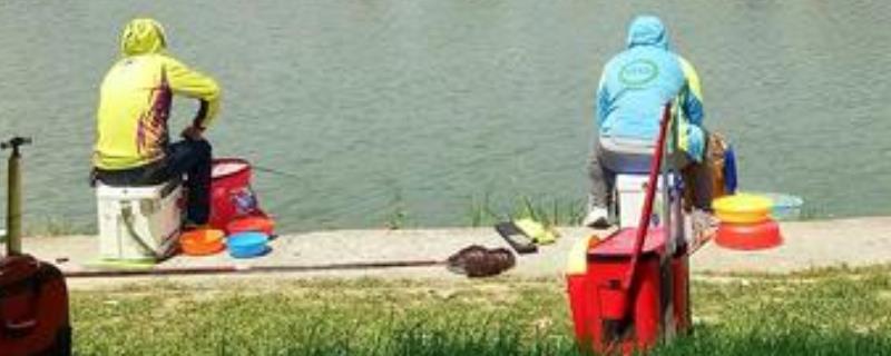 钓黑鱼实用技巧大全？