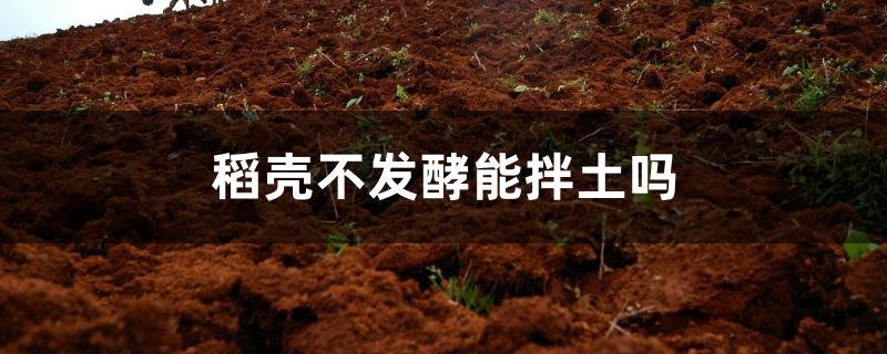 稻壳不发酵能拌土吗