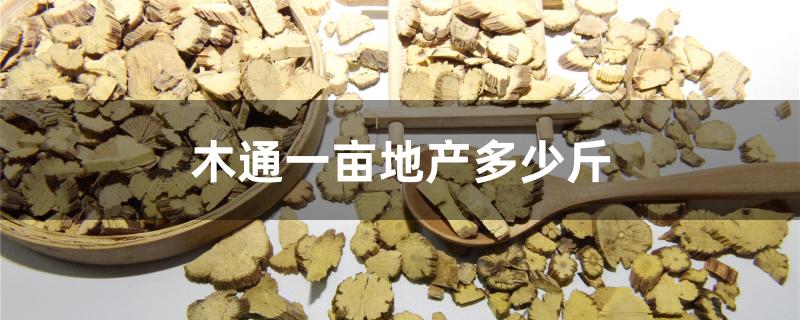 木通一亩地产多少斤