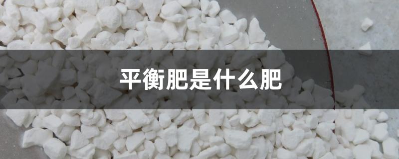 平衡肥是什么肥