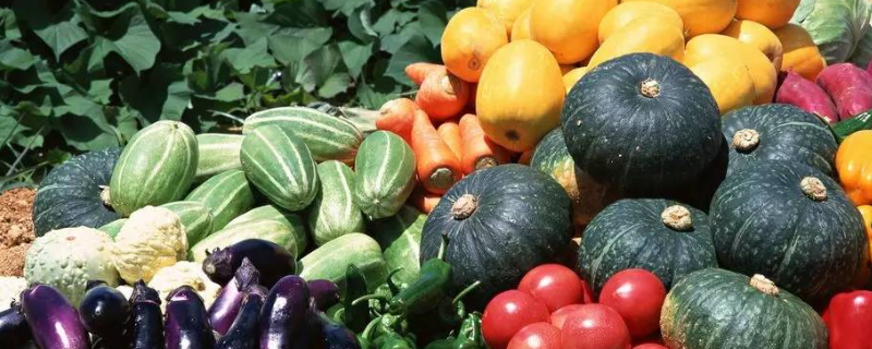 怎么防除有机蔬菜杂草？