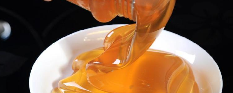 浓缩蜂蜜是什么？