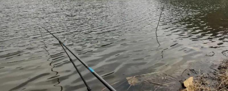 冬季野钓实用技巧大全？