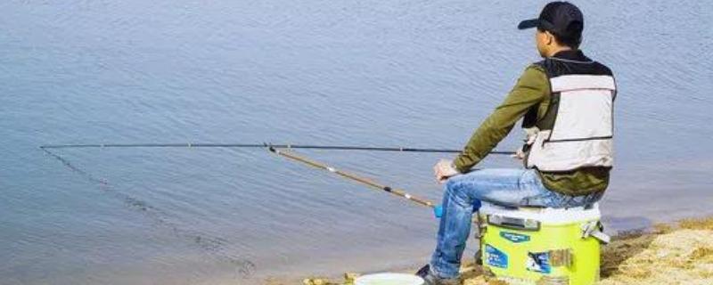 蚯蚓钓鱼的技巧和方法？